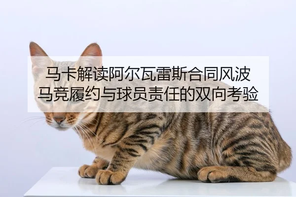 马卡解读阿尔瓦雷斯合同风波 马竞履约与球员责任的双向考验